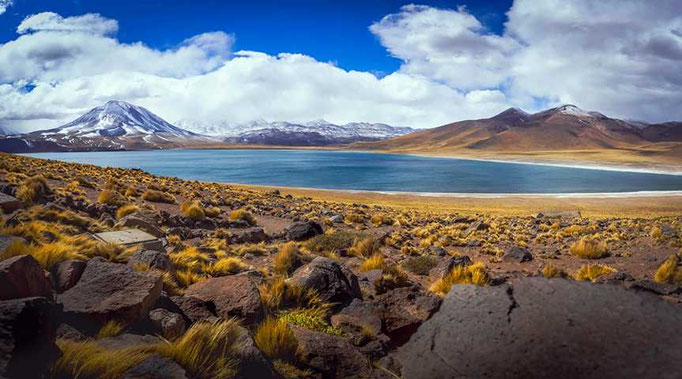 Laguna Miscanti bei San Pedro de Atacama