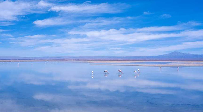 Laguna Cejar bei San Pedro de Atacama