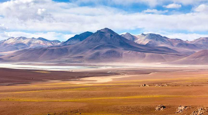  Salar de Aguas Calientes bei San Pedro de Atacama