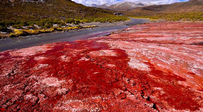 Laguna Roja auf dem Hochland der Atacama