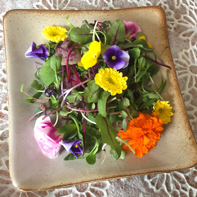 Korea Well Being Workshop