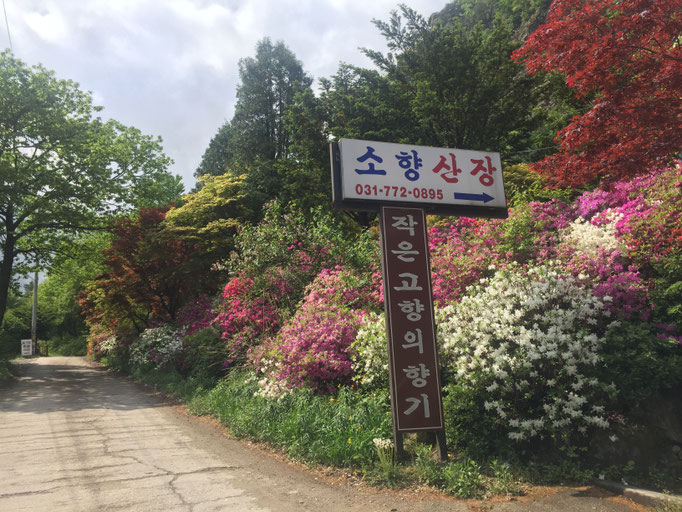 Korea Well Being Workshop