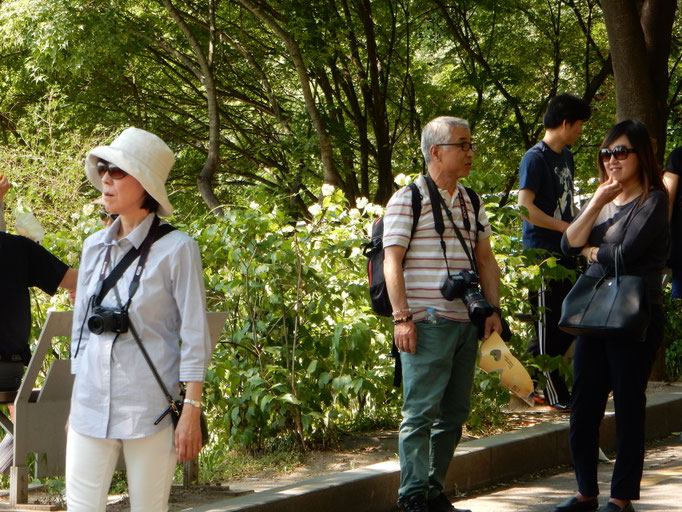 Photo Session in Seoul 写真家トミーと歩く海外撮影会