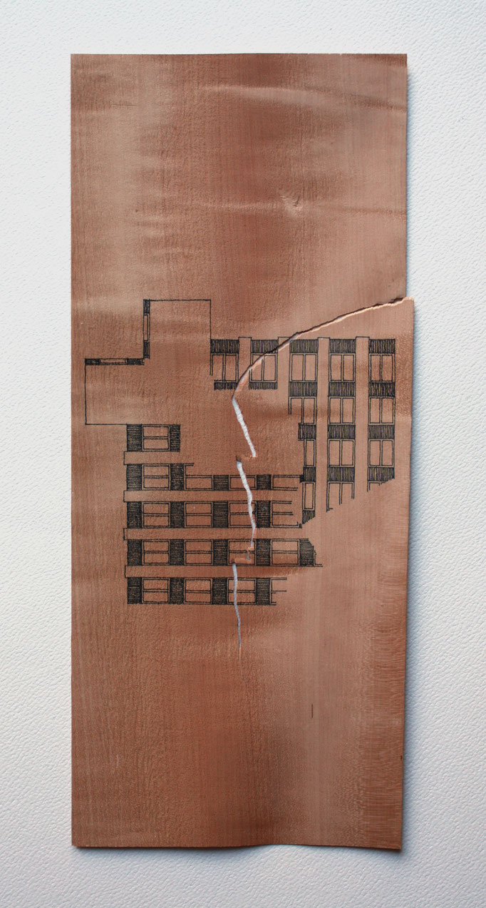 Encre sur poirier, 30x20, 2012.