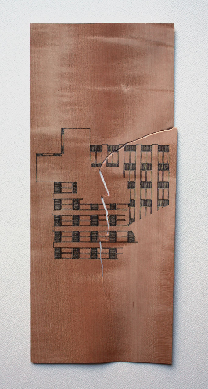 Encre sur poirier, 30x20, 2012.