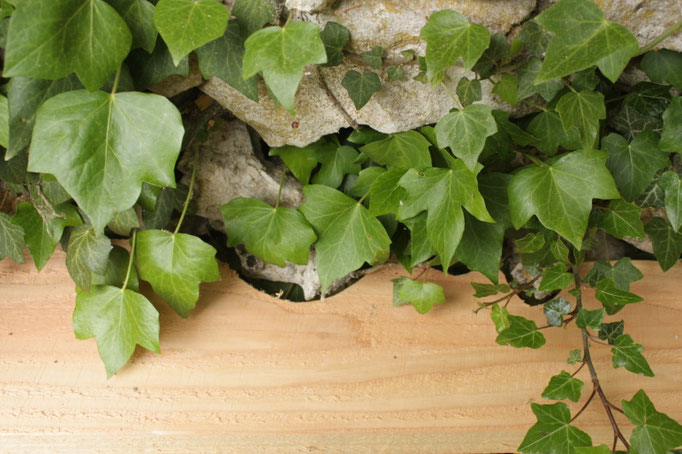 Métamorphose (Néguentropie), sculpture in-situ, bois de douglas, 650x250x250cm, 2023. "La création de cette oeuvre a été lauréate ex-aequo du Prix Jeunes Talents Côte d'Or - création contemporaine 2022, et a bénéficié d'une aide du conseil départemental  