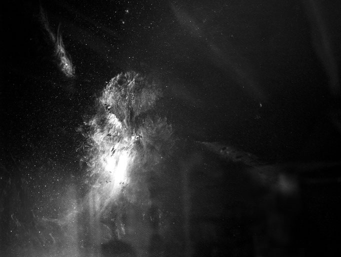 Chevêche d’Athéna, photographie numérique noir et blanc, 80x115 cm, 2016.