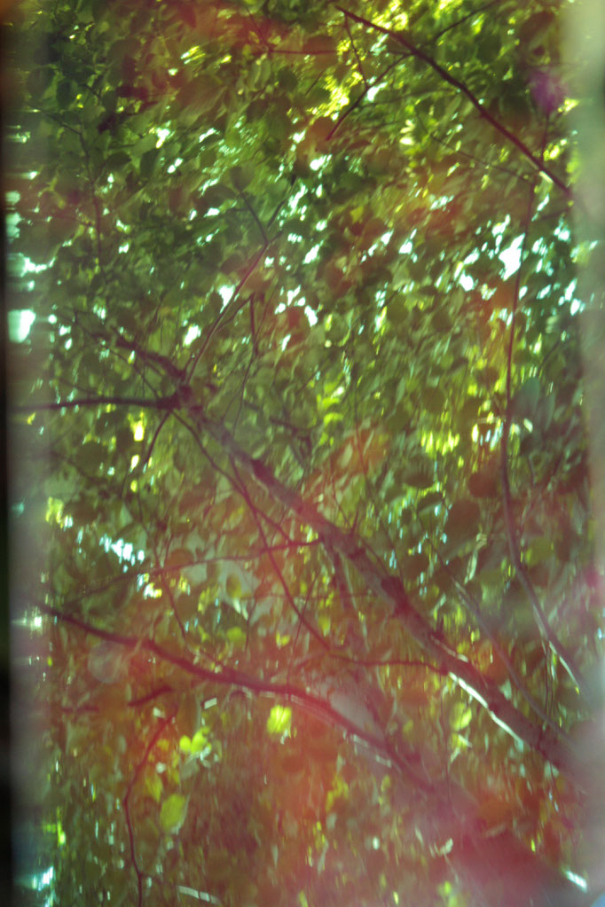 NDE 04, photographie numérique couleur appartenant à la série Near Death Experiences, 120x190 cm, 2016.