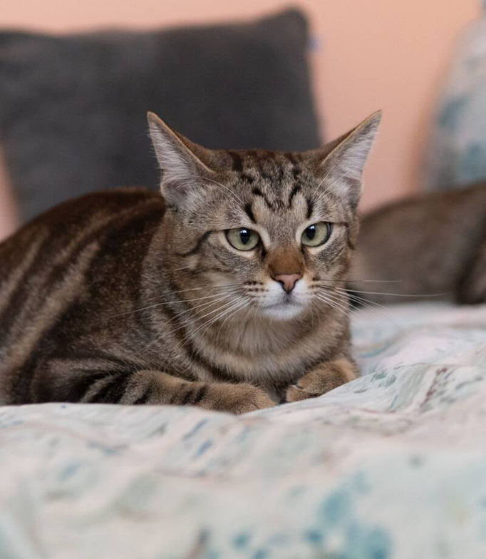 Rosie