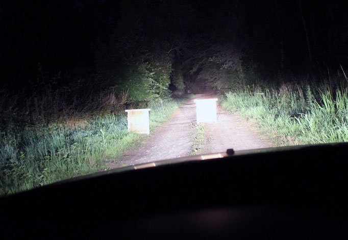 Traversant un sentier de nuit.