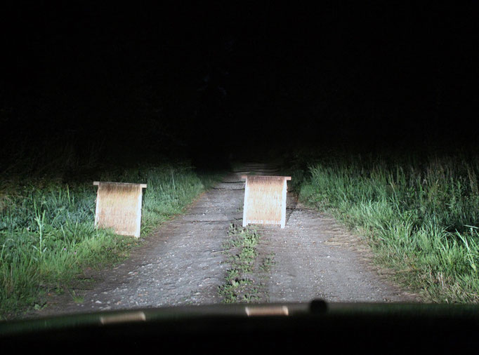 Traversant un sentier de nuit.