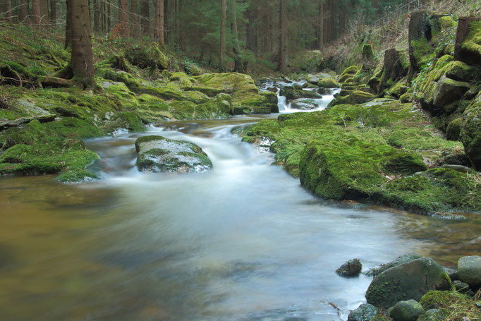 Große Bockau