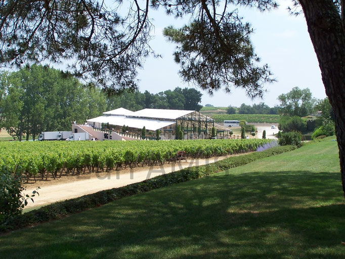 Mariage Chateau Iquem