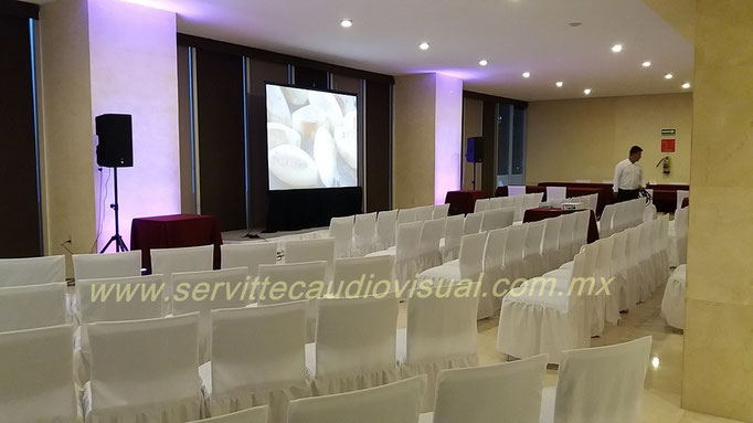 Pantalla de proyección de 2.44 y audio para 150 personas. 11