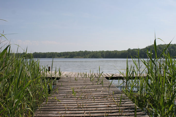 Dutzower See in  Kneese im Landkreis Nordwestmecklenburg in Mecklenburg-Vorpommern 
