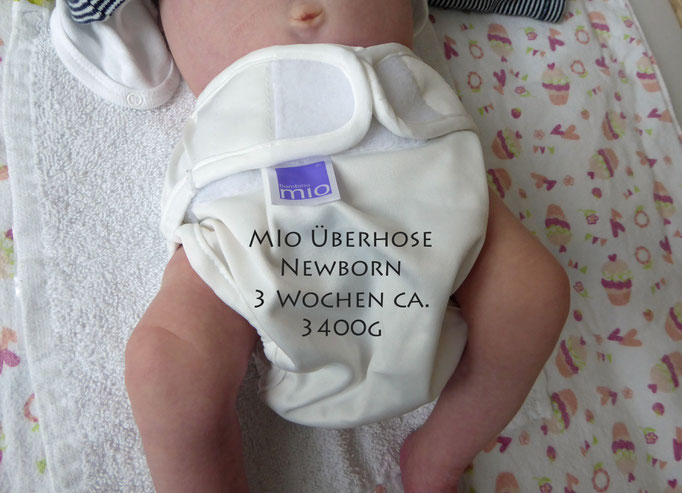 Bambino Mio 