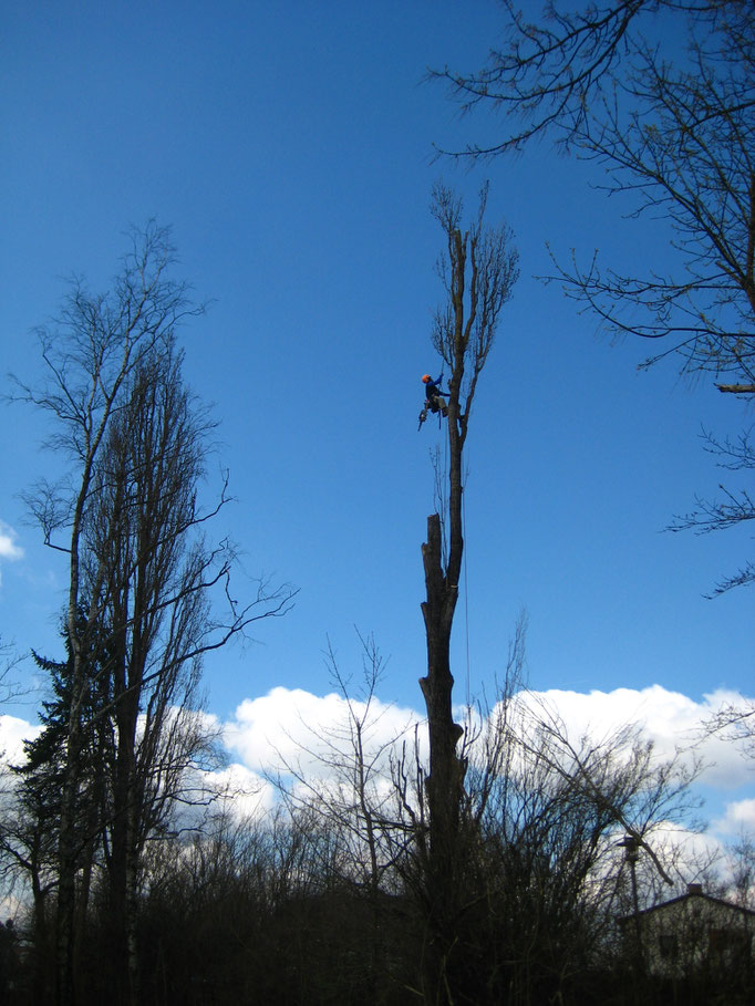 30 Meter hoch