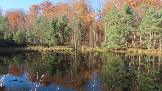 Am Mümmelkensee