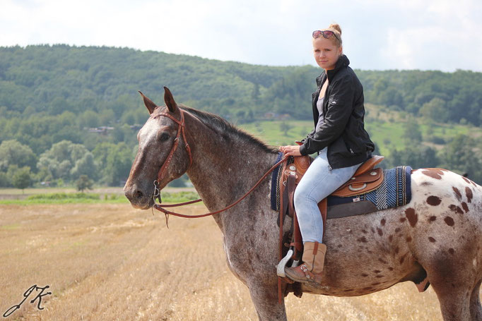 Selina & Paint Horse-Knabstrupper Wallach Zoran