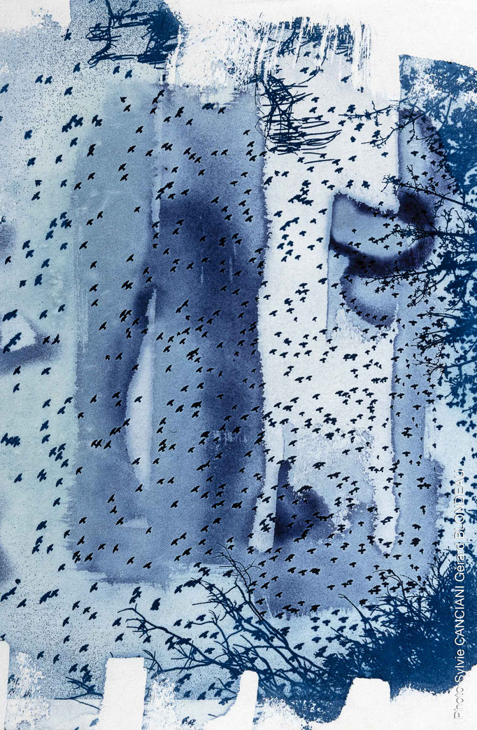 Oiseaux dans la ville