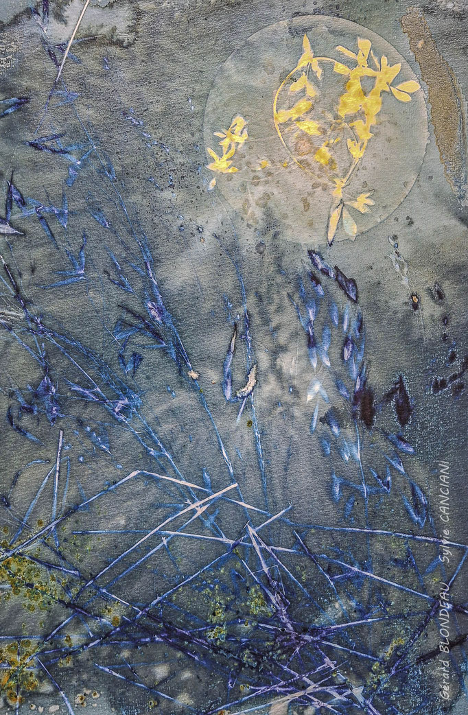 Aiguilles bleues