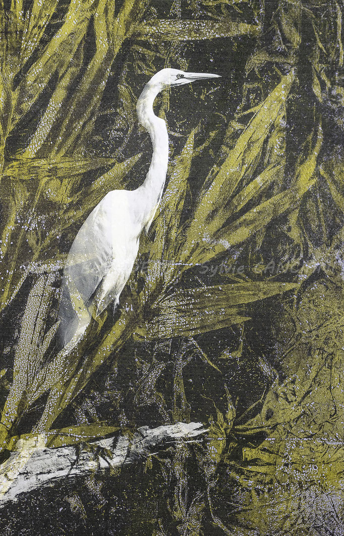 L'ombre blanche