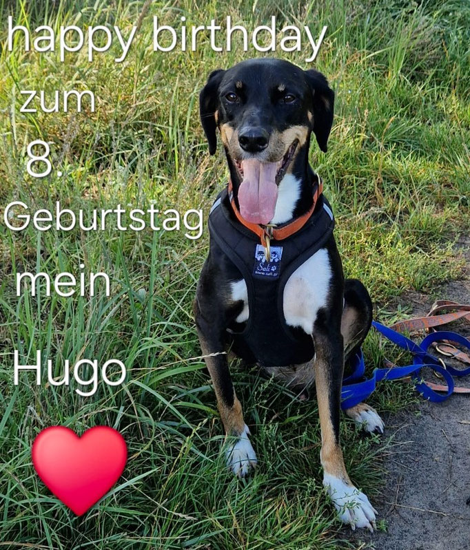 Hugo hatte Geburtstag