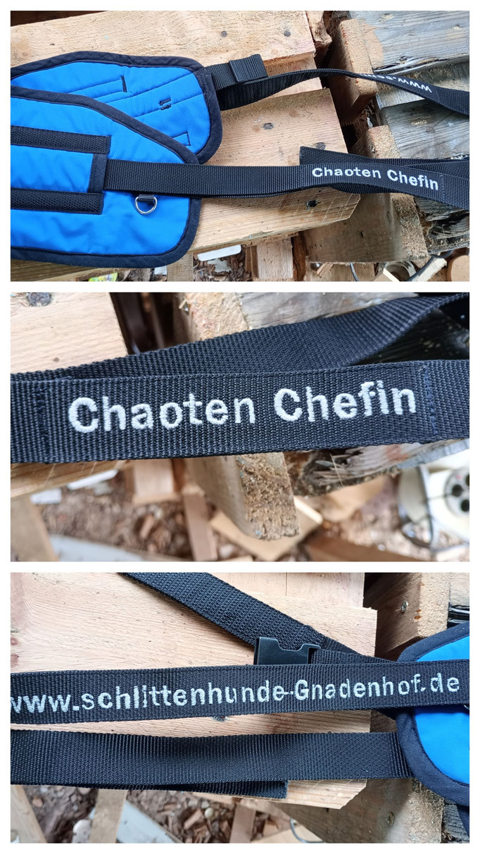 und bei der Chefin musste der Bauchgurt erneuert werden