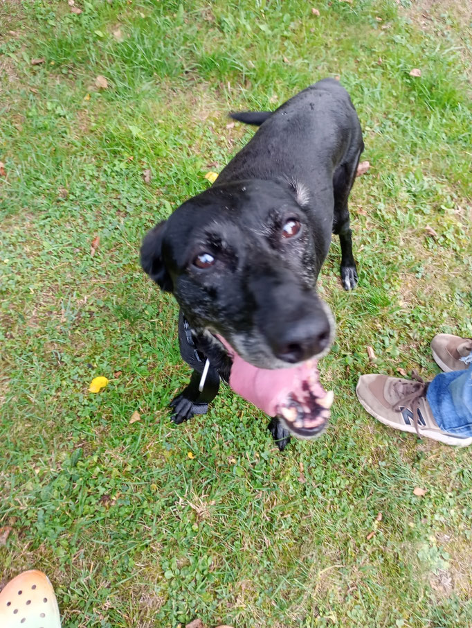 Jaquelline
