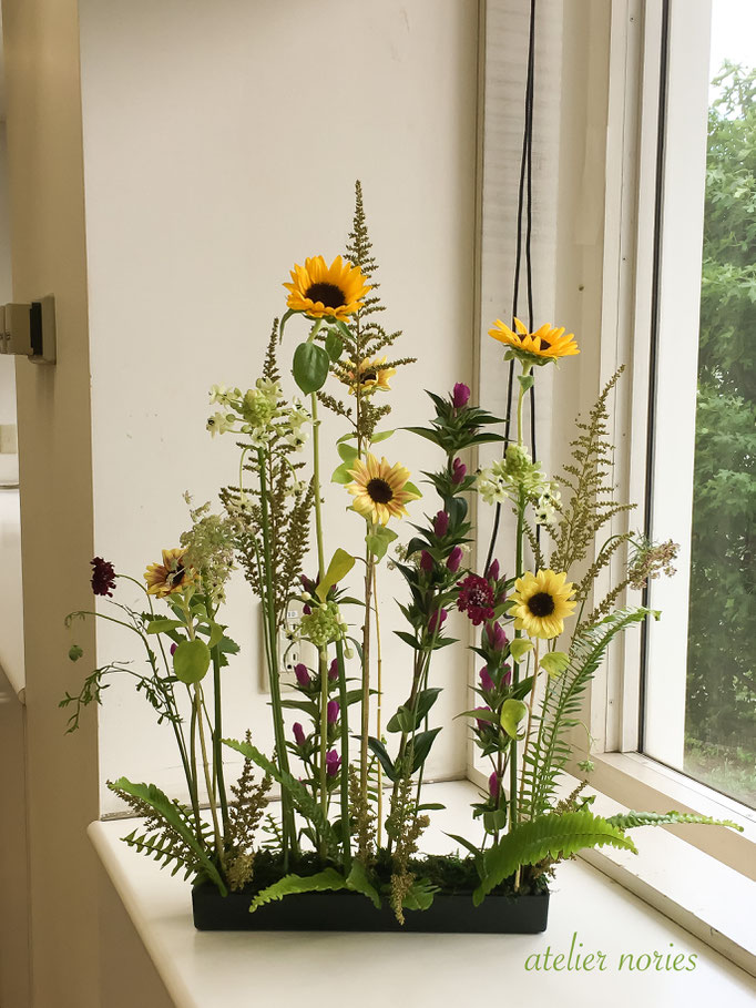 夏の終りの植生的パラレル