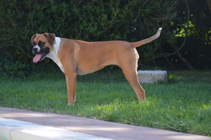 Luciole
