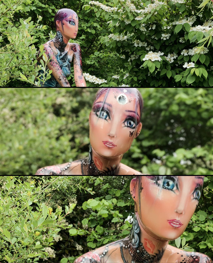 FAIRY