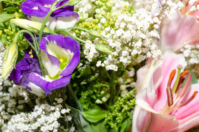 Blumen Maria Schlömicher Energetikerin in Niederösterreich