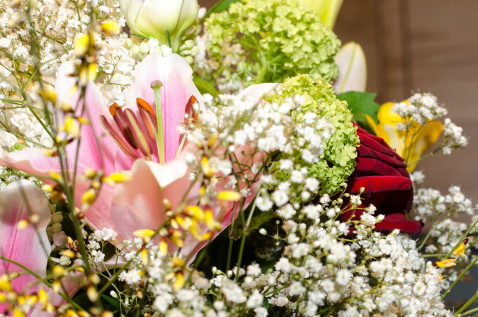 Blumen Maria Schlömicher Energetikerin in Niederösterreich