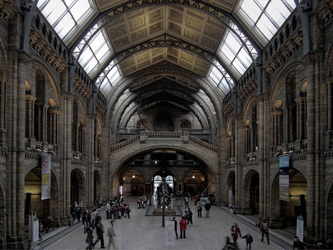 NHM