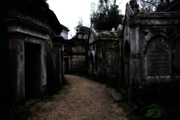 Highgate Cemetary II