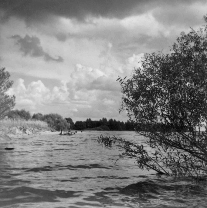 Insel auf dem Moskauer Meer