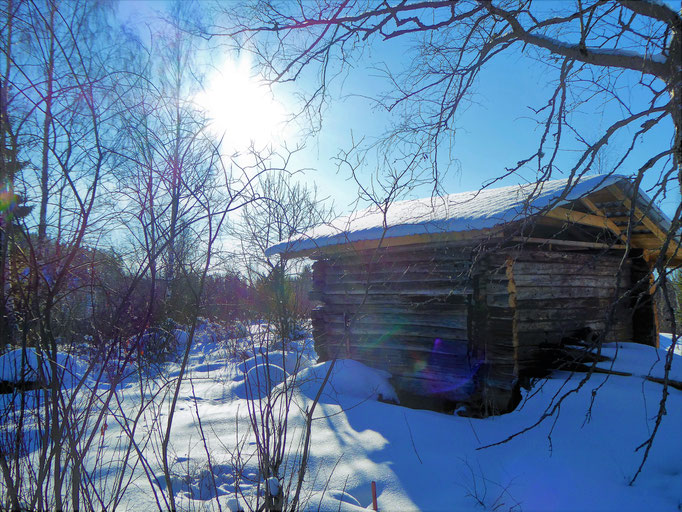 Discover idyllic scenes on hiking trails in winter