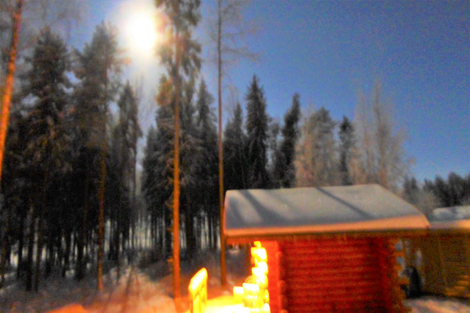 Magical winter nights