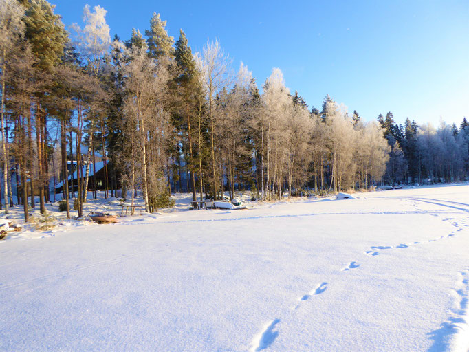 Cross-country skiing. Bay in front of your house