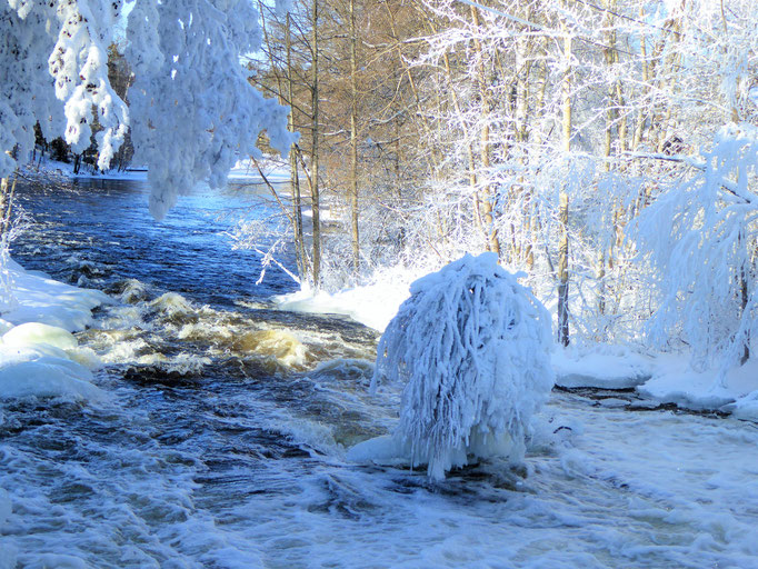 Idyllic winter scenes ...