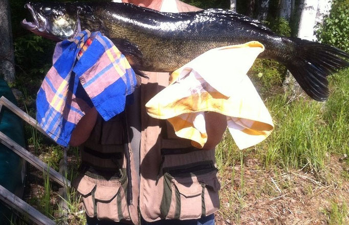 Enjoy your fish!