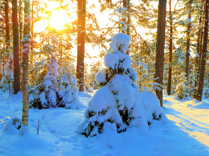 ... and enjoy sunny winter panorama