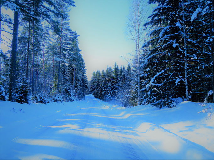... and Sysmä area with your All Terrainskies. Snow shoes ...
