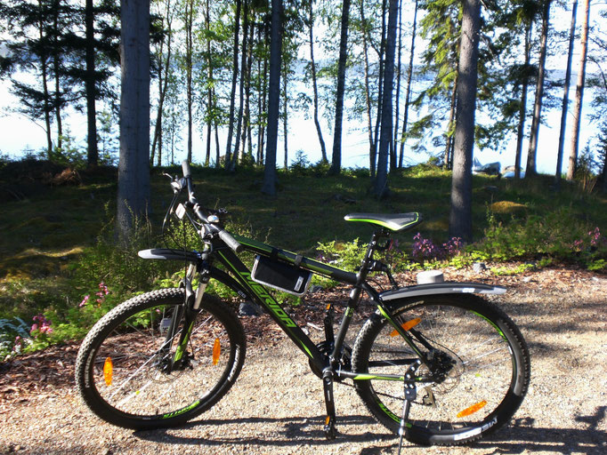 4 different bikes included