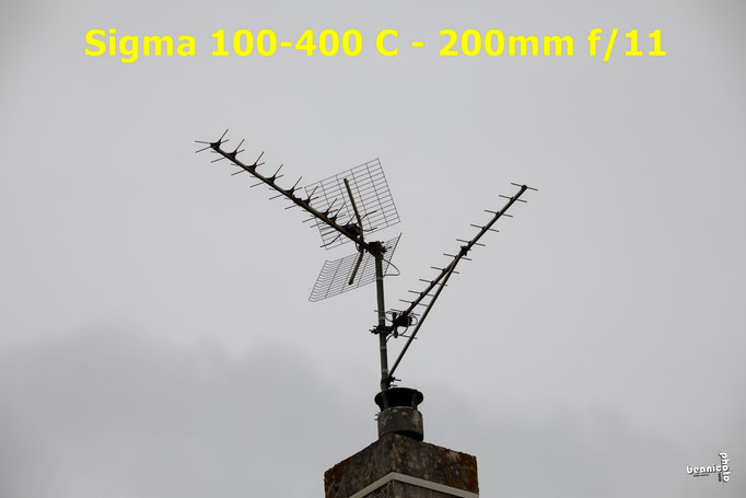 Test Sigma C 100-400 mm f/5-6.3 DG OS HSM - www.beanico-photo.fr