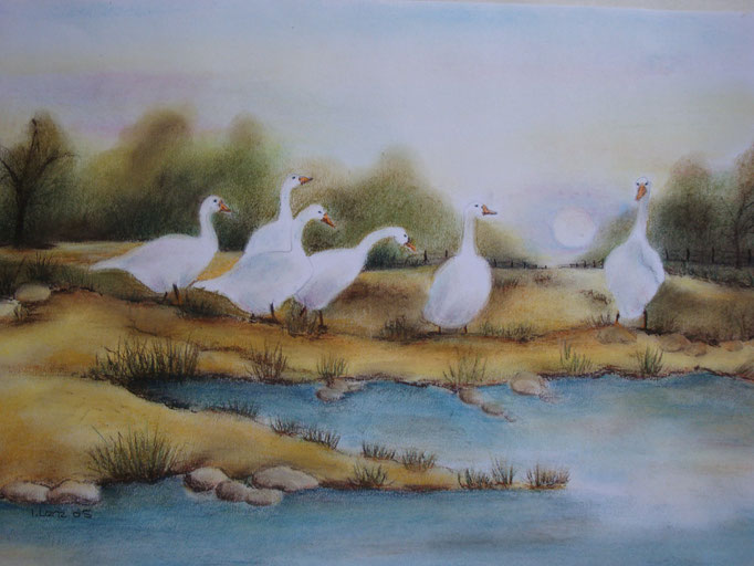 Gänsemarsch 30x40