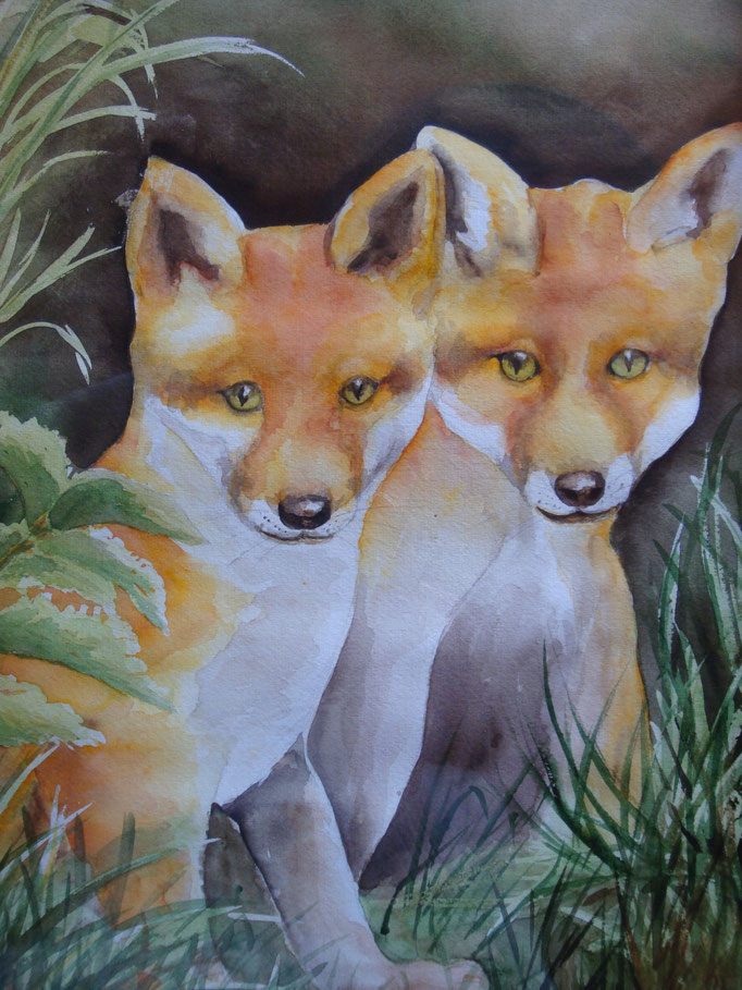 Füchsli 30x40