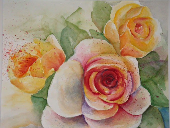 englische Rosen 40x40