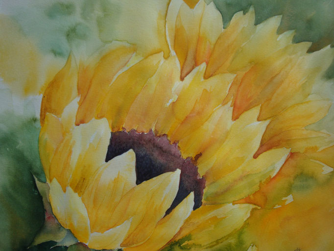 Sonnenblume 30x40